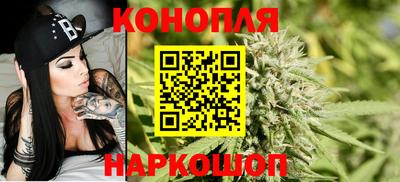 прущие грибы Будённовск