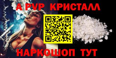 прущие грибы Будённовск